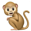 monkey