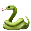 snake